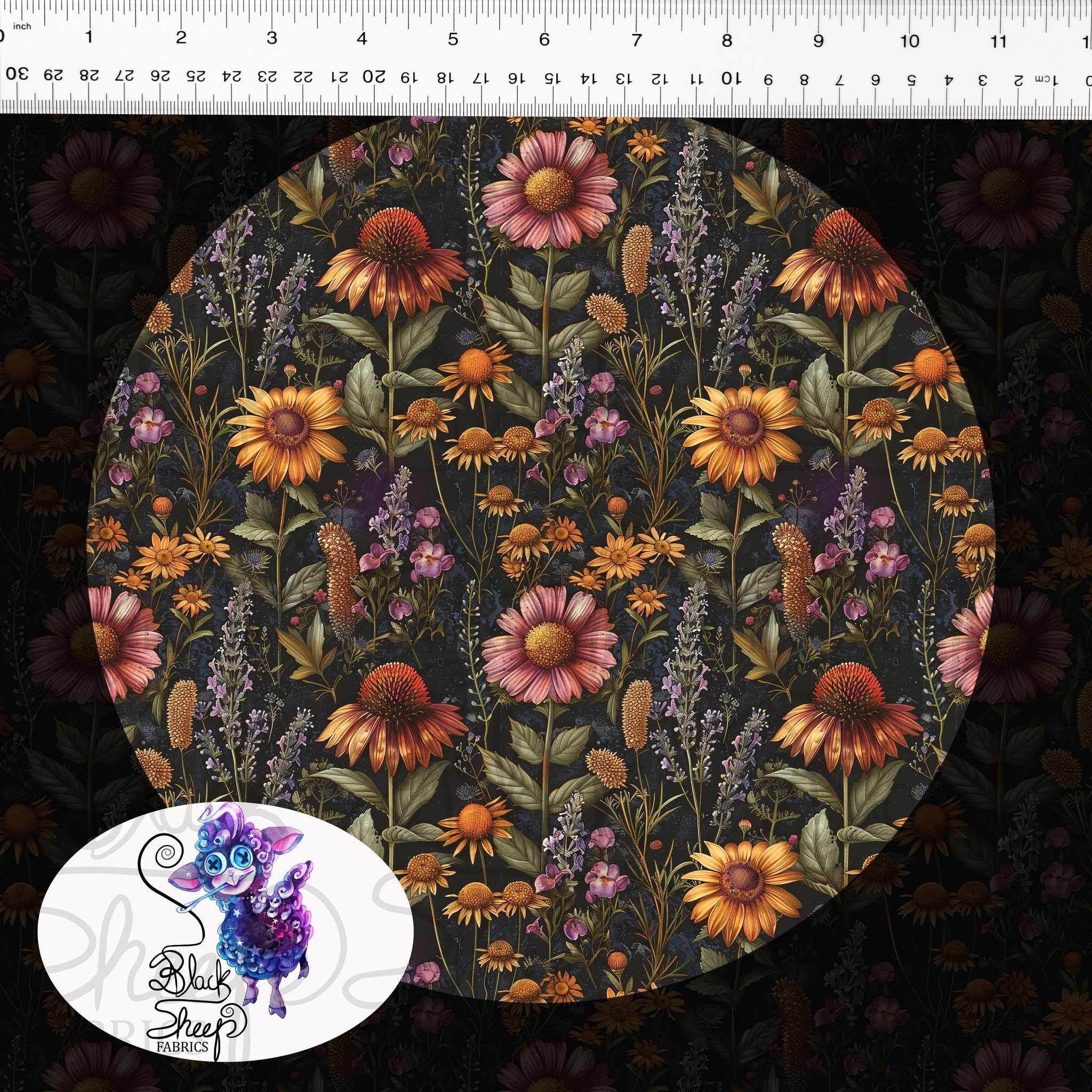 Echinacea Small Scale