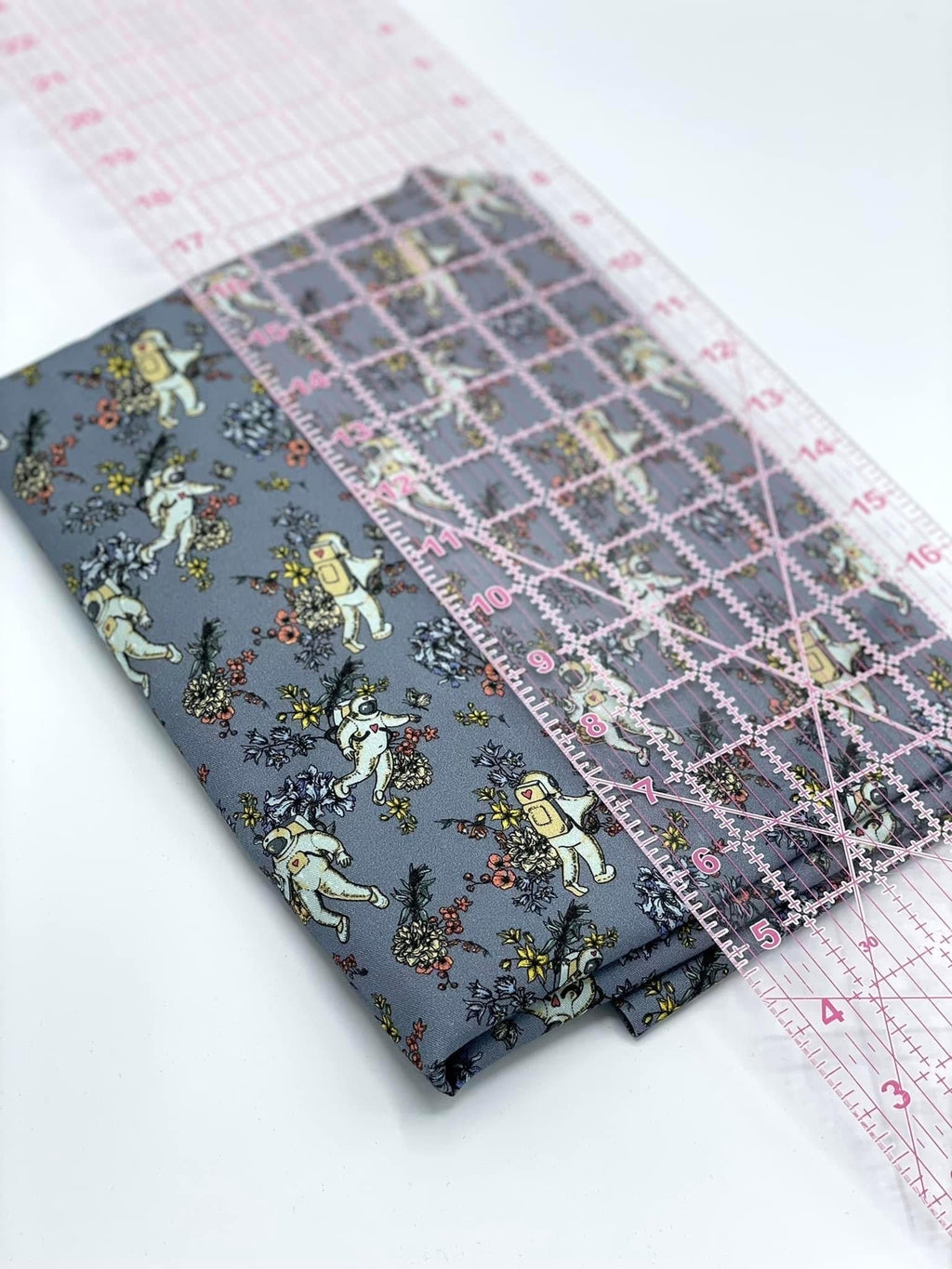 Astronauts Small Scale